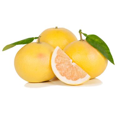 אשכולית צהובה