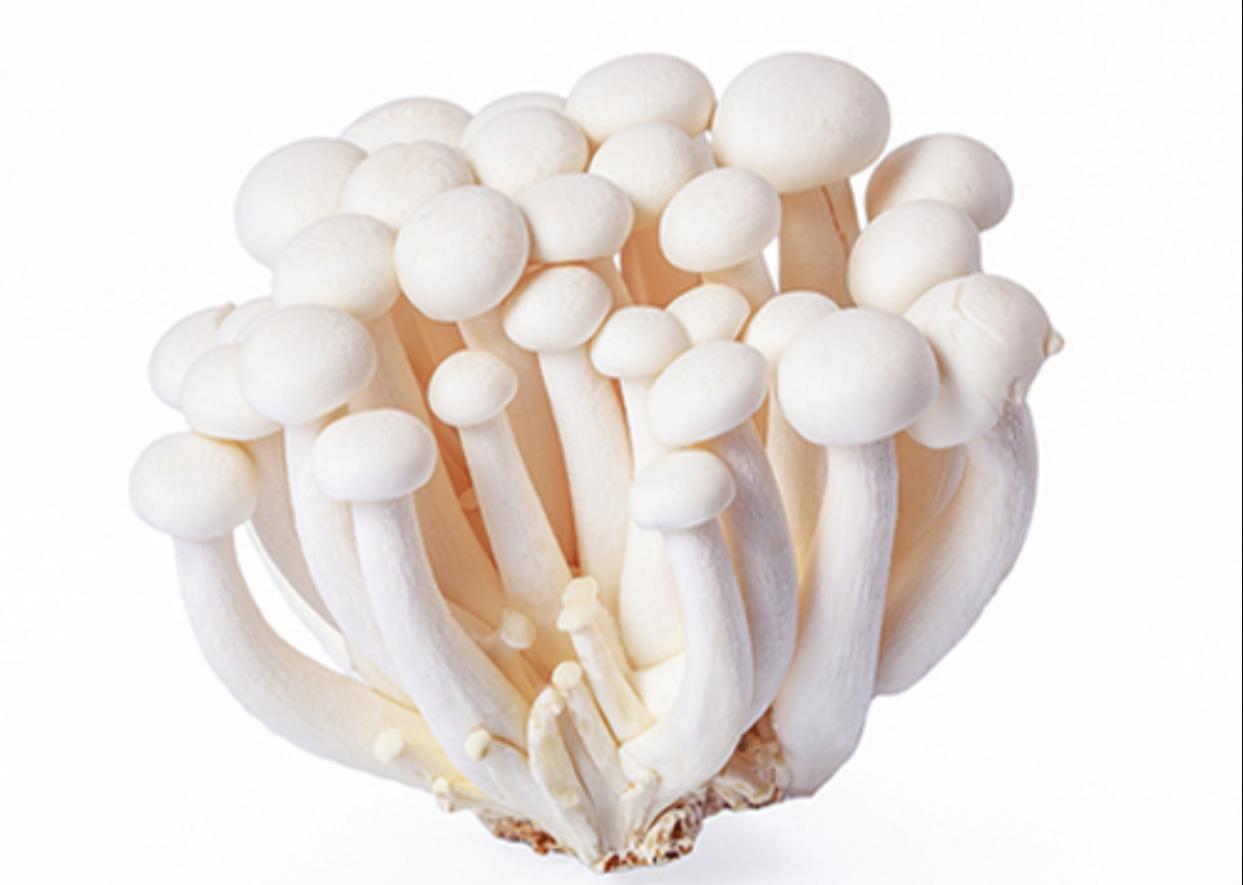 פטריות שימגי