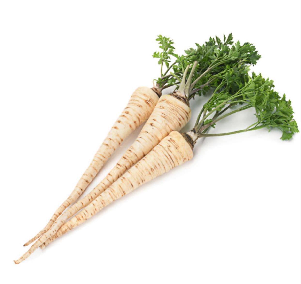 שורש פטרוזיליה 