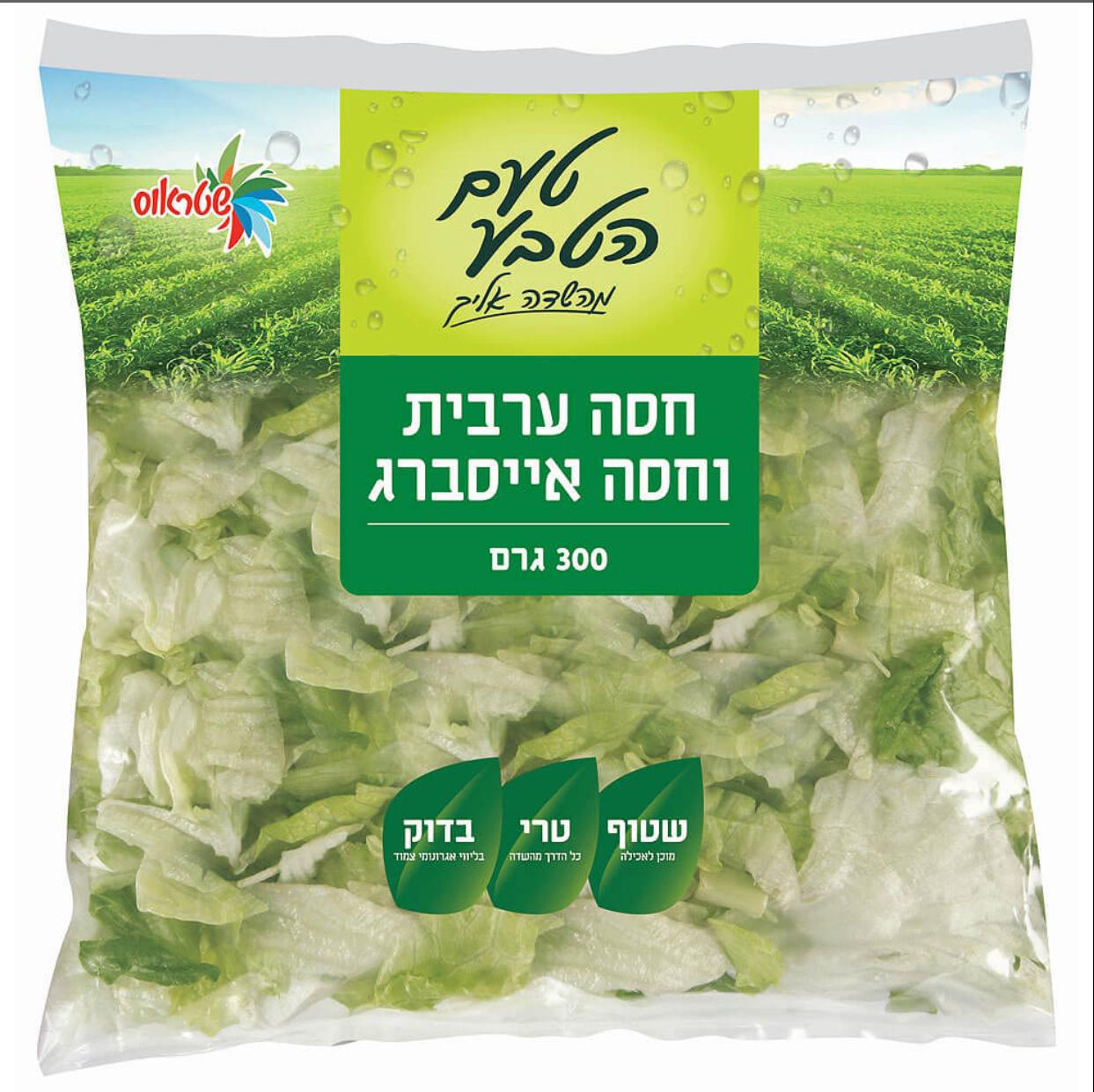 סלט אייסברג קצוץ